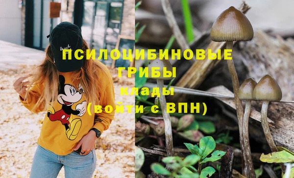 Альфа ПВП Аркадак