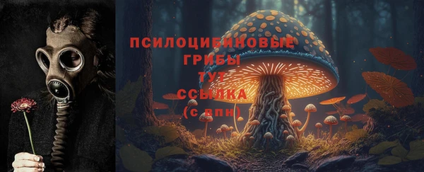 Альфа ПВП Аркадак